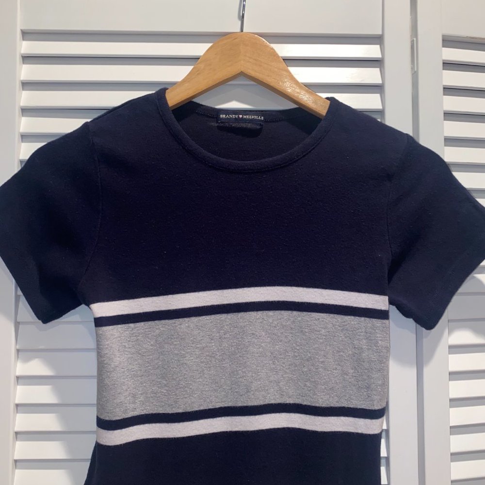 Brandy Melville Crop Top